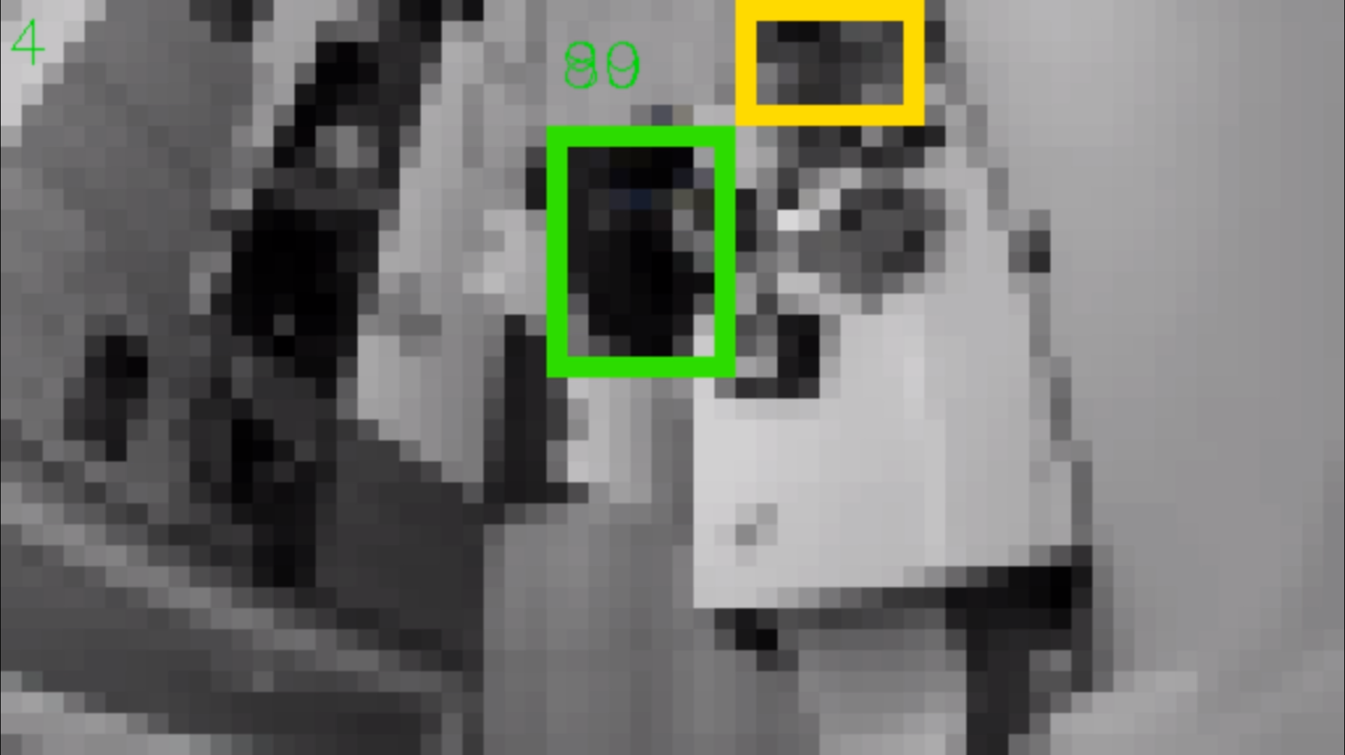 Privacy-oriented Object Detection